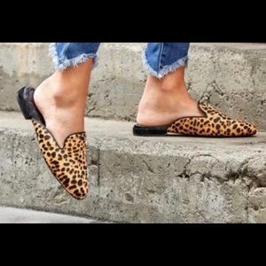 Brand new Birdies slides